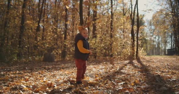 Um menino sorrindo olha para as folhas amarelas de outono caindo das árvores que estão no parque no sol do por do sol. Floresta mágica, o menino ri e felizmente cuida da queda das folhas de outono. — Vídeo de Stock
