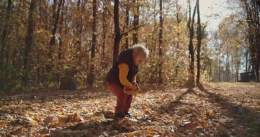 Küçük kıvırcık bir çocuk sarı yaprakları kaldırır ve parktaki sonbahar yapraklarını uçururken sevinir.