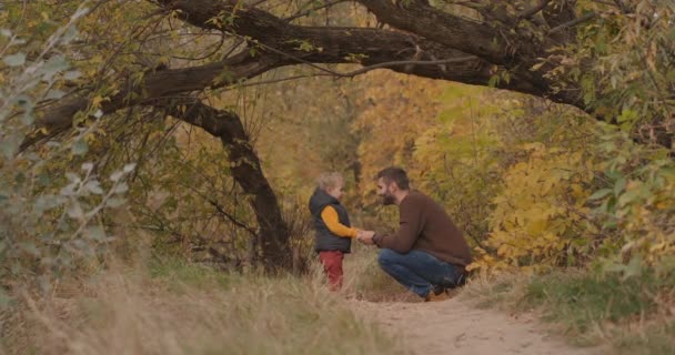Otec a malý syn tráví čas v malebném podzimním lese, o víkendu spolu chodí a komunikují — Stock video
