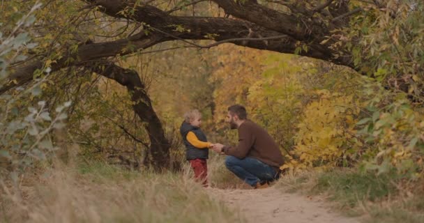 Familjeunderhållning på hösthelgen, far och son vandrar i skogen, kommunicerar och njuter av naturen — Stockvideo