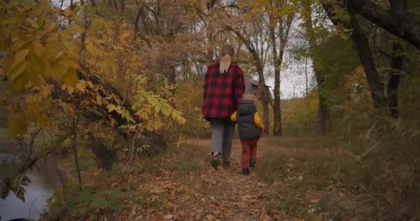 Familj vandring i skogen, kvinna håller hand med sin lilla barn pojke, promenader tillsammans mellan träd, bakifrån — Stockvideo