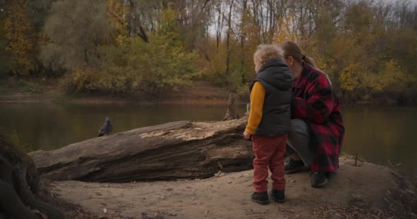 Höst natur i skogen, lilla barn utforskar, mor och pojke leker med duva på stranden av sjön, ha kul tillsammans — Stockvideo