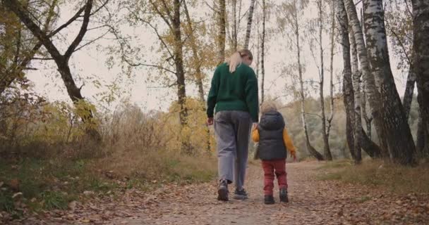 Η νεαρή γυναίκα και ο γιος της περνούν χρόνο στο δάσος την ημέρα, η μητέρα κρατάει το χέρι του παιδιού. — Αρχείο Βίντεο