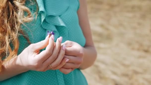Close - up av en kvinnas hand med en ring och en fält-blomma — Stockvideo