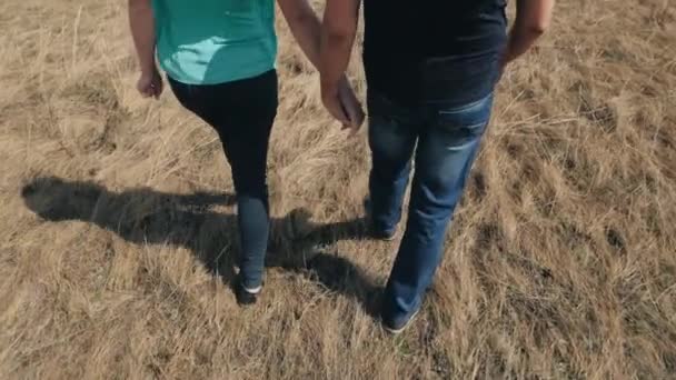 徒步旅行的人-鞋子关闭和倾斜。年轻人夫妇走干草. — 图库视频影像