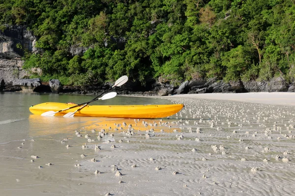 Faire Kayak Sur Plage Sable Blanc Archipel Calcaire Ang Thong — Photo