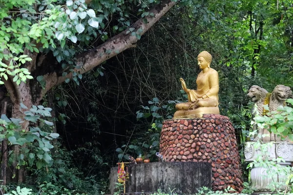 Statue Bouddha Dans Jardin Avec Fond Forêt Verte — Photo