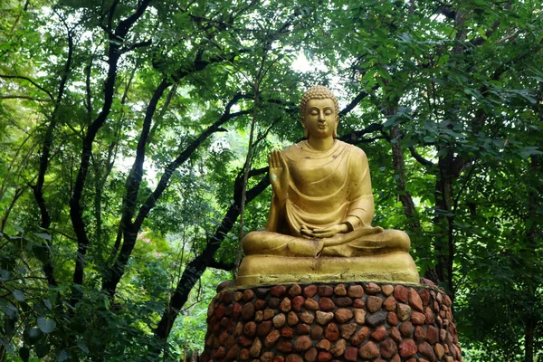 Estátua Buda Jardim Com Fundo Verde Floresta — Fotografia de Stock