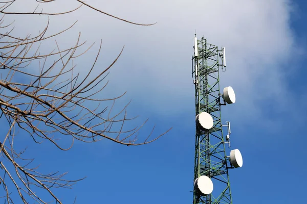 Antena Comunicación Torre Construcción Con Cielo Azul Árboles Sin Hojas — Foto de Stock
