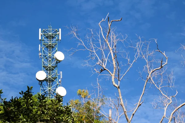 Antena Comunicación Torre Construcción Cielo Azul Árboles Sin Hojas — Foto de Stock