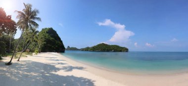 Ang Thong Island Tayland beyaz kum üzerinde Hindistan cevizi gölge ile plaj tropikal Panoraması