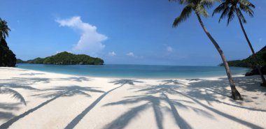 Ang Thong Island Tayland beyaz kum üzerinde Hindistan cevizi gölge ile plaj tropikal Panoraması