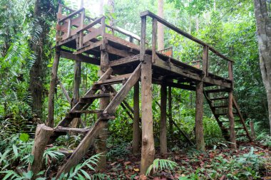 Hayvan gözlem kulesi Tayland ormandaki terk edildi.