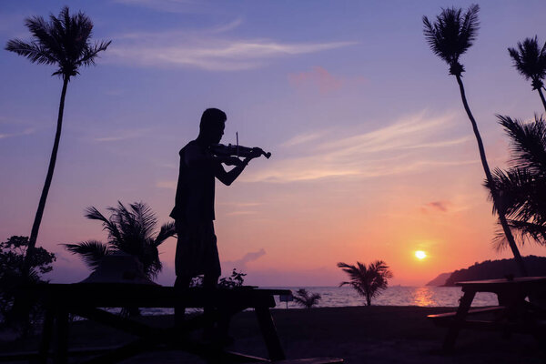 Local musicians, Asian man playing violin on the coconut beach at sunrise , Silhouette artist on purple sky background.