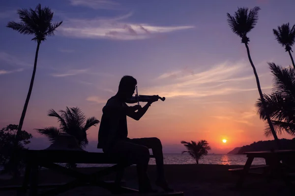 Músicos Locales Hombre Asiático Tocando Violín Playa Coco Amanecer Artista —  Fotos de Stock