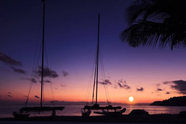 Hobie kedi ya da güzel gündoğumu sabah erken, siluet Asya adam sahilde kürek ve yelkenli katamaran ile plaj Katamaran