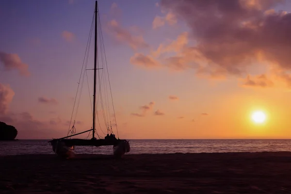 Hobie Gato Catamarán Playa Amanecer Temprano Mañana Silhouette Hombre Asiático —  Fotos de Stock