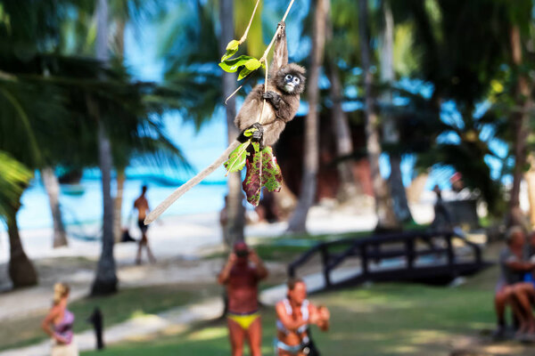 Wild animals,Leaf monkey or Dusky langur  jumping and swing on the tree while tourists are looking around.