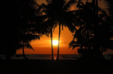 Mu Ko Ang Thong hindistan cevizi plaj gündoğumu sabah erken 