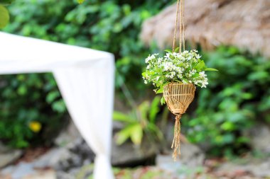 Plajda süslenmiş asma çiçek vazo