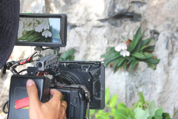 Βιντεογράφος παίρνουν φωτογραφίες και βίντεο από ορχιδέες στη φύση — Φωτογραφία Αρχείου