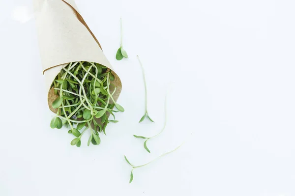 Microgreen on the white background in natural light — Stock Photo, Image