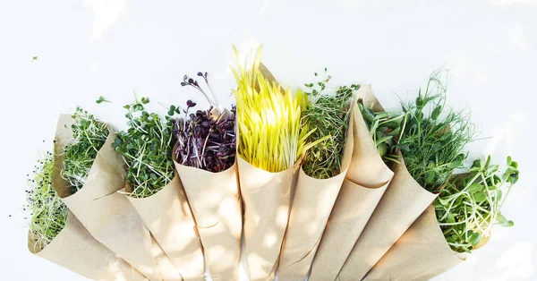 Microgreen sur le fond blanc à la lumière naturelle — Photo