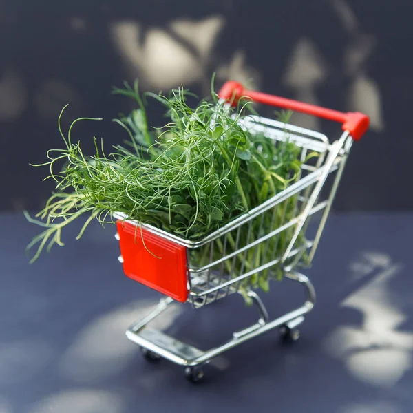 Microgreen im Warenkorb — Stockfoto