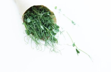 Doğal ışıkta beyaz arka planda microgreen