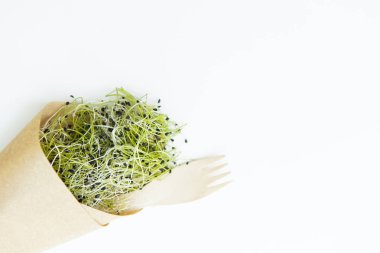 Doğal ışıkta beyaz arka planda microgreen
