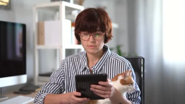 Tablet Using Brunette Woman Glasses Sitting Chair White Ginger Cat — Stock Video