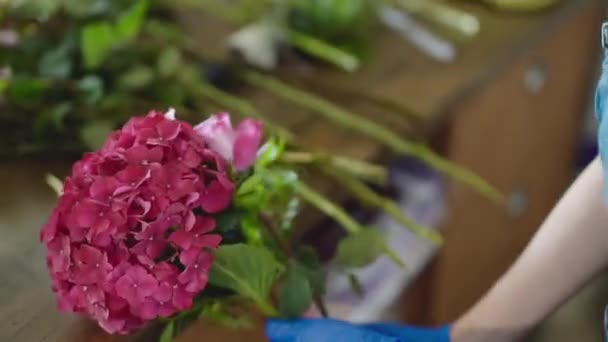 戴着蓝色手套的花店女服务员 献上一束绚丽的菊花 特写镜头小商业概念 — 图库视频影像