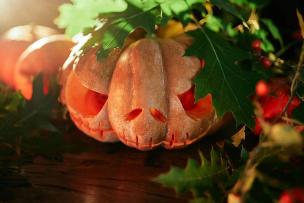 Halloween Wyrzeźbiona Dynia Straszny Jack Latarnia Dekoracji Oświetlenie Płonącą Świecą — Zdjęcie stockowe