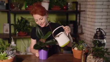 Çiçekçide çiçek sulayan bahçıvan, dükkandaki yeşil bitkilerin bakımında çiçekçi olarak beyaz kadın. Çiçekçi ve bahçıvanlık konsepti. 4K görüntü.