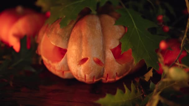 Vyřezávaná Dýně Halloween Tmavým Pozadím Zelenými Listy Jack Lantern Úsměv — Stock video
