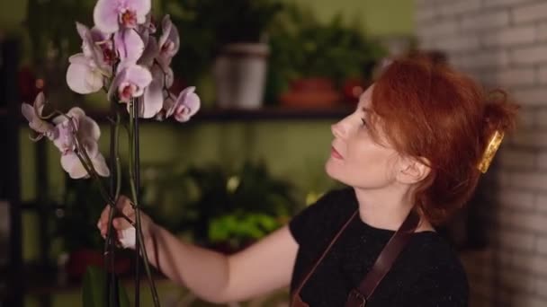 Usmívající Kavkazská Květinářka Drží Květinářství Hrnec Orchidejí Šťastná Mladá Žena — Stock video