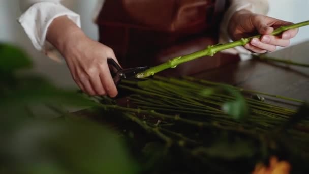 Detailní Střih Stonku Květu Pomocí Nůžek Ženské Květinářky Kožené Zástěře — Stock video