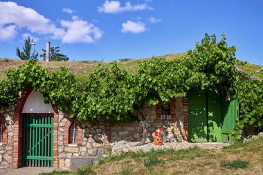 Vrbice, Çek Cumhuriyeti - 30 Haziran 2018: Geleneksel şarap mahzenleri - Vrbice, Çek Cumhuriyeti, Avrupa. Moravyalı şarap mahzenleri. Şarap ve folklor.