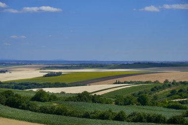 Güneşli bir gün South Moravia'deki / alanları