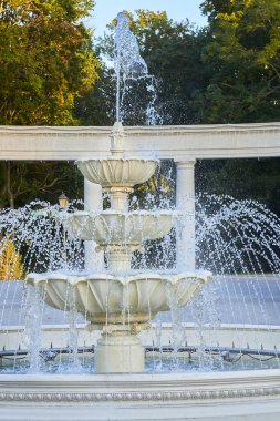 Çeşme, pergola ve sonbaharda ağaçlar Park