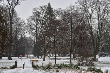 Karla kaplı ağaçlar, çalılar ve geçit Şehir Parkı gecenin içinde