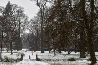 Karla kaplı ağaçlar, çalılar ve sabah şehir parkında küçük dere üzerinde köprü