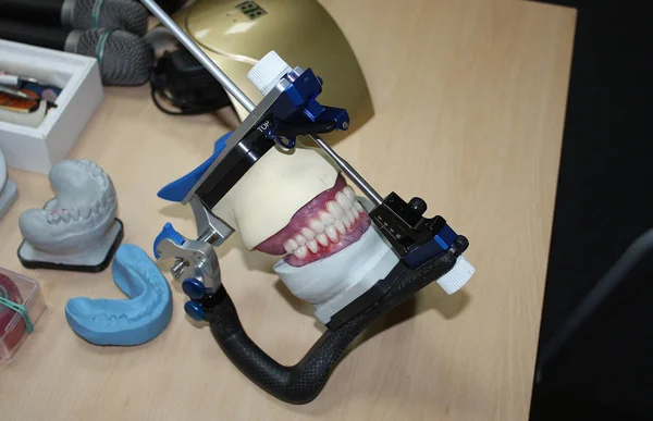 Dentiere Rimovibili Articolatore — Foto Stock