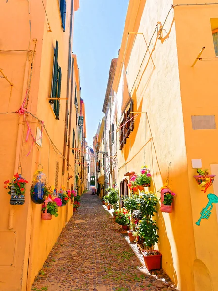 A narrow alley decorated with beautiful flowers in Alghero. Sardinia