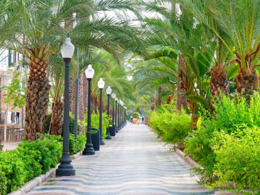 Avuç içi Alicante Bulvarı. Turistler Explanada için ana gezinti.