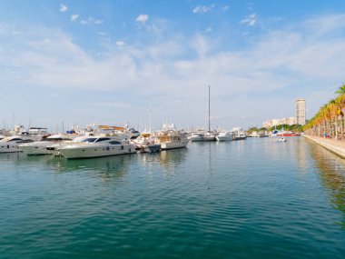 Promenade ve palmiye ağaçlarının Alicante. Bağlantı noktasının görünümü. İspanya