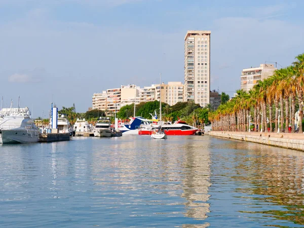 Promenade Van Palmbomen Alicante Uitzicht Haven Stad — Stockfoto
