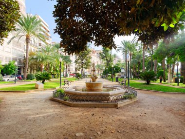 Alicante eski ağaçlar ile güzel yeşil park. İspanya.