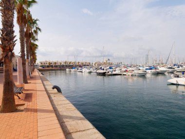 Alicante 'de güzel bir gezinti yeri. Palmiye ağaçları ve liman görünümü. İspanya.