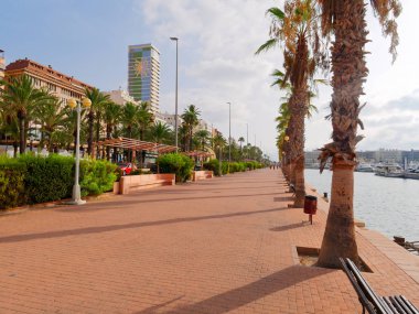 Alicante 'de güzel bir gezinti yeri. Palmiye ağaçları ve liman görünümü. İspanya.